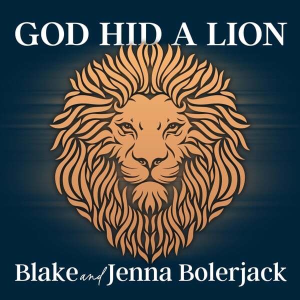Cover art for God Hid A Lion